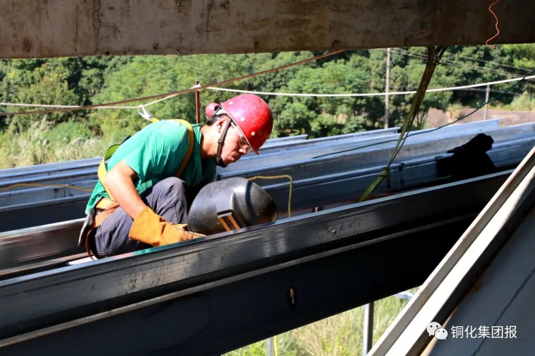 йӵϷ1331(ɷ)޹˾-ٷվ