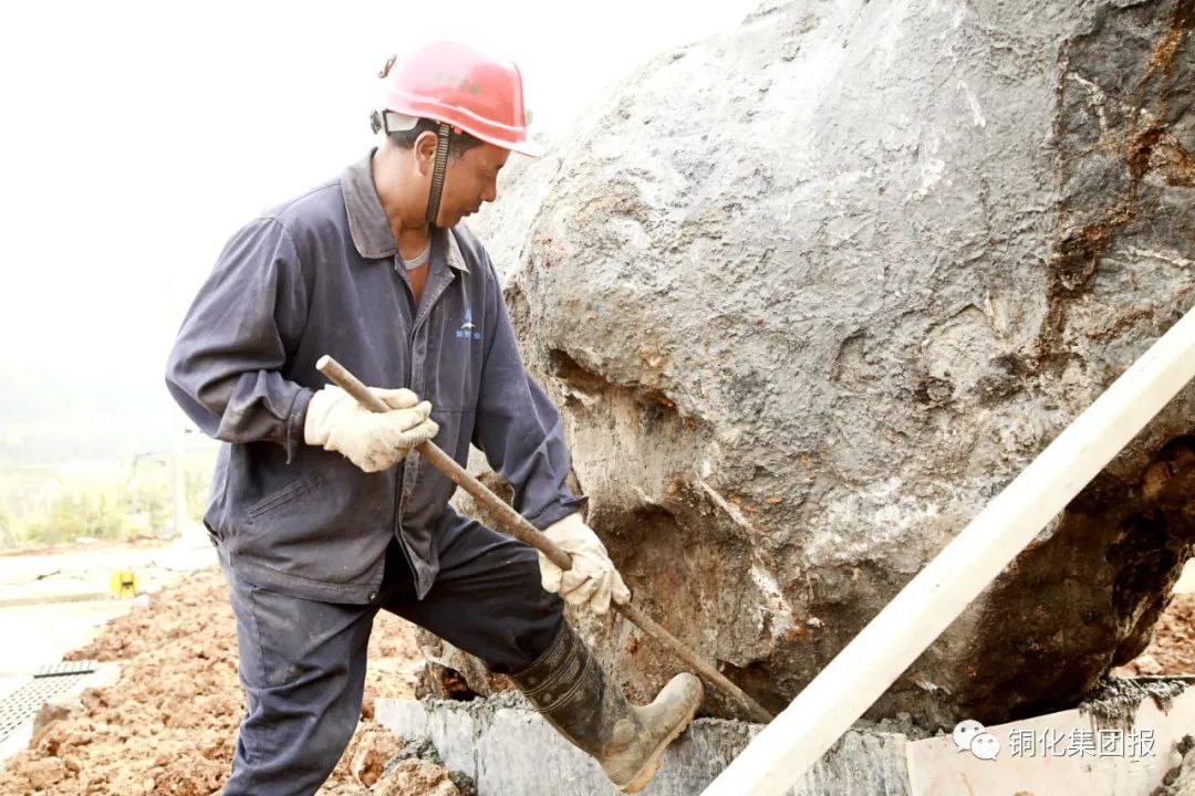 йӵϷ1331(ɷ)޹˾-ٷվ