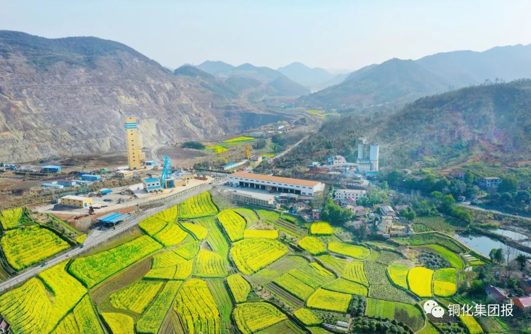 йӵϷ1331(ɷ)޹˾-ٷվ