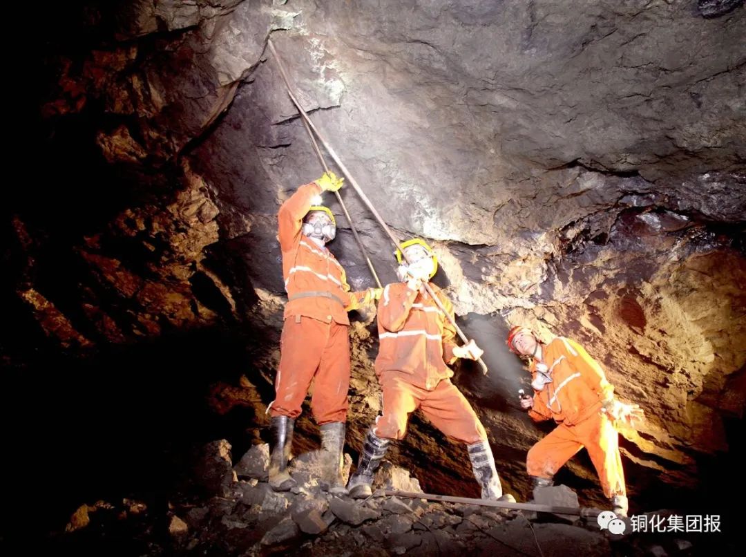 йӵϷ1331(ɷ)޹˾-ٷվ