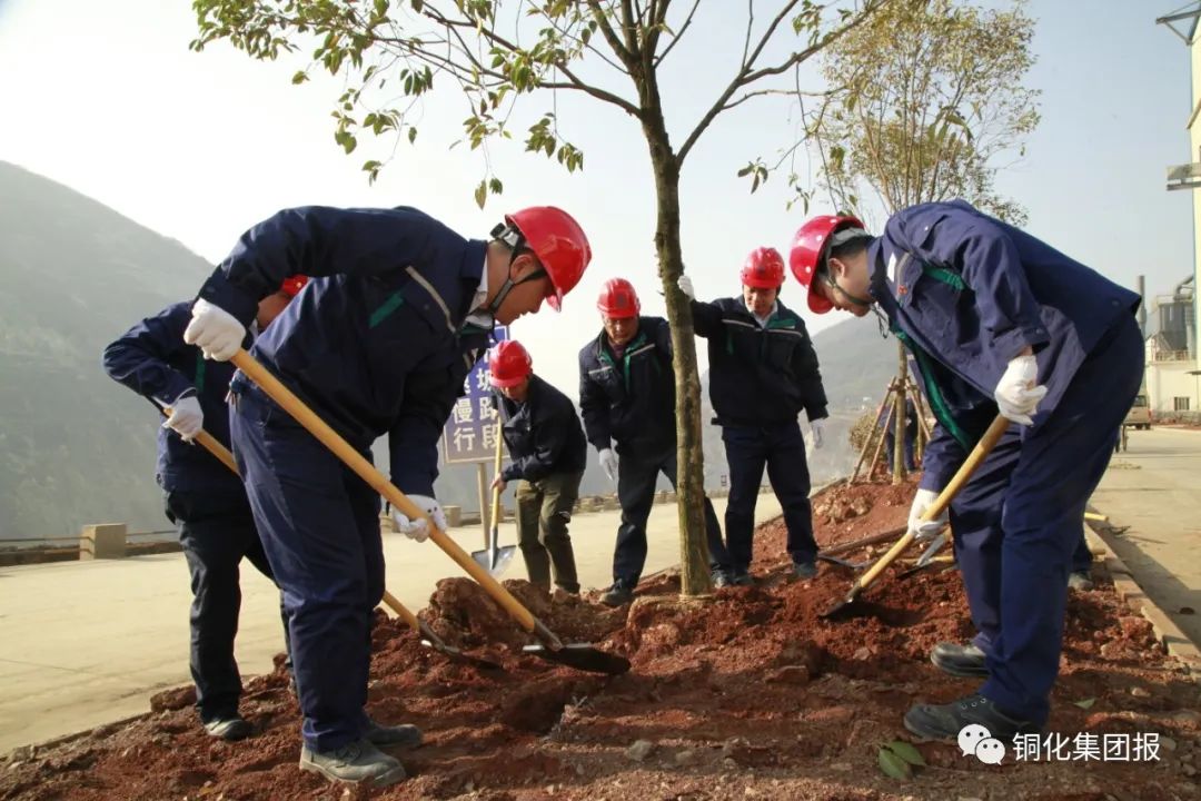 йӵϷ1331(ɷ)޹˾-ٷվ