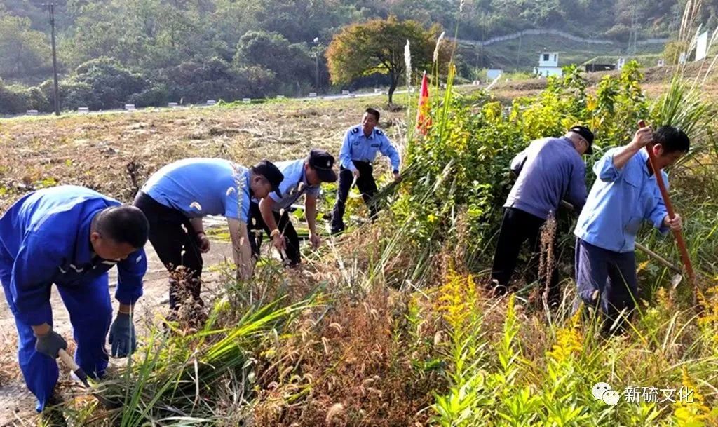 йӵϷ1331(ɷ)޹˾-ٷվ