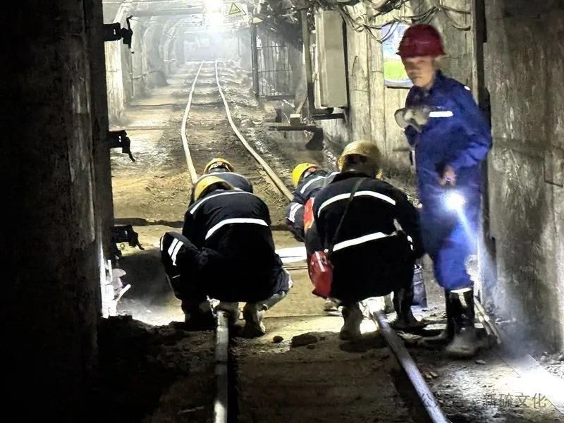 йӵϷ1331(ɷ)޹˾-ٷվ