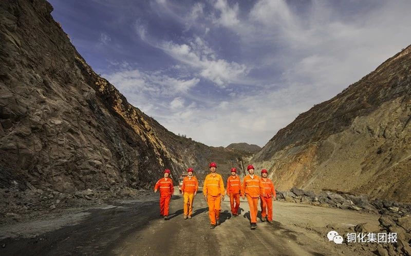 йӵϷ1331(ɷ)޹˾-ٷվ