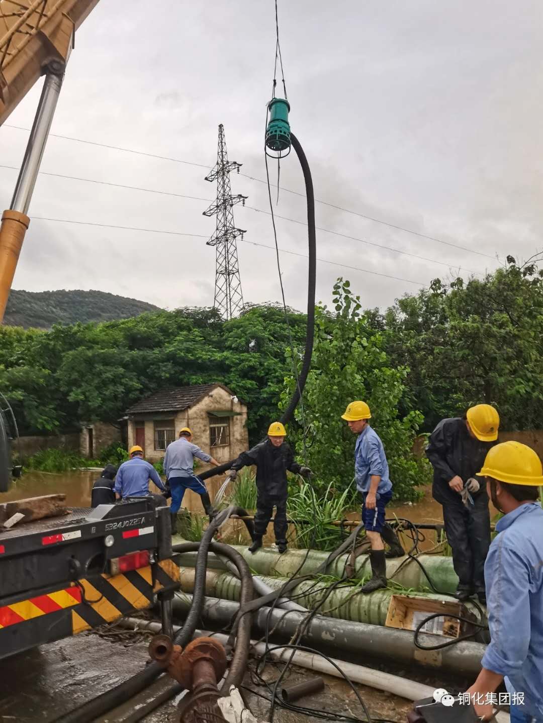 йӵϷ1331(ɷ)޹˾-ٷվ