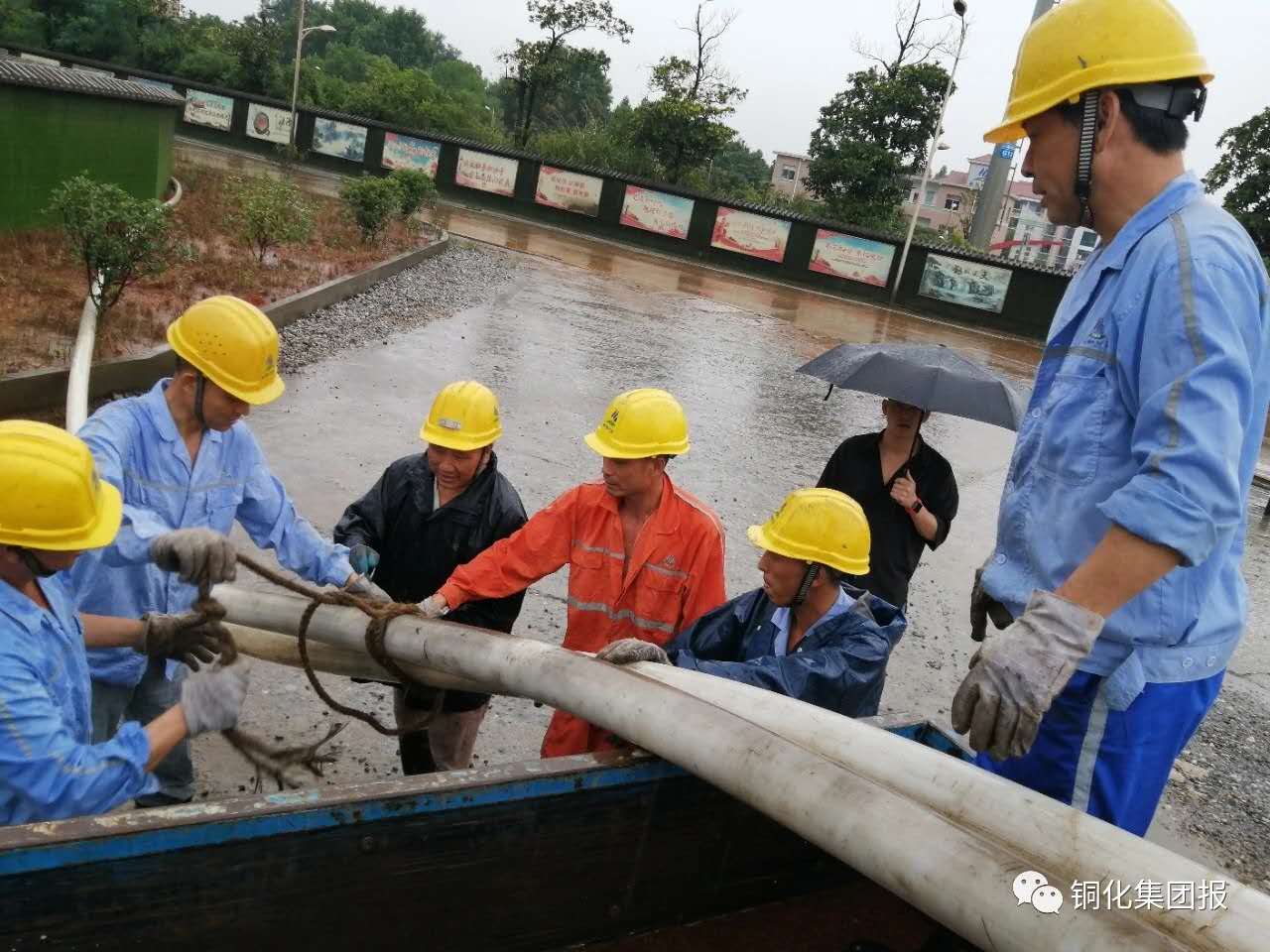 йӵϷ1331(ɷ)޹˾-ٷվ