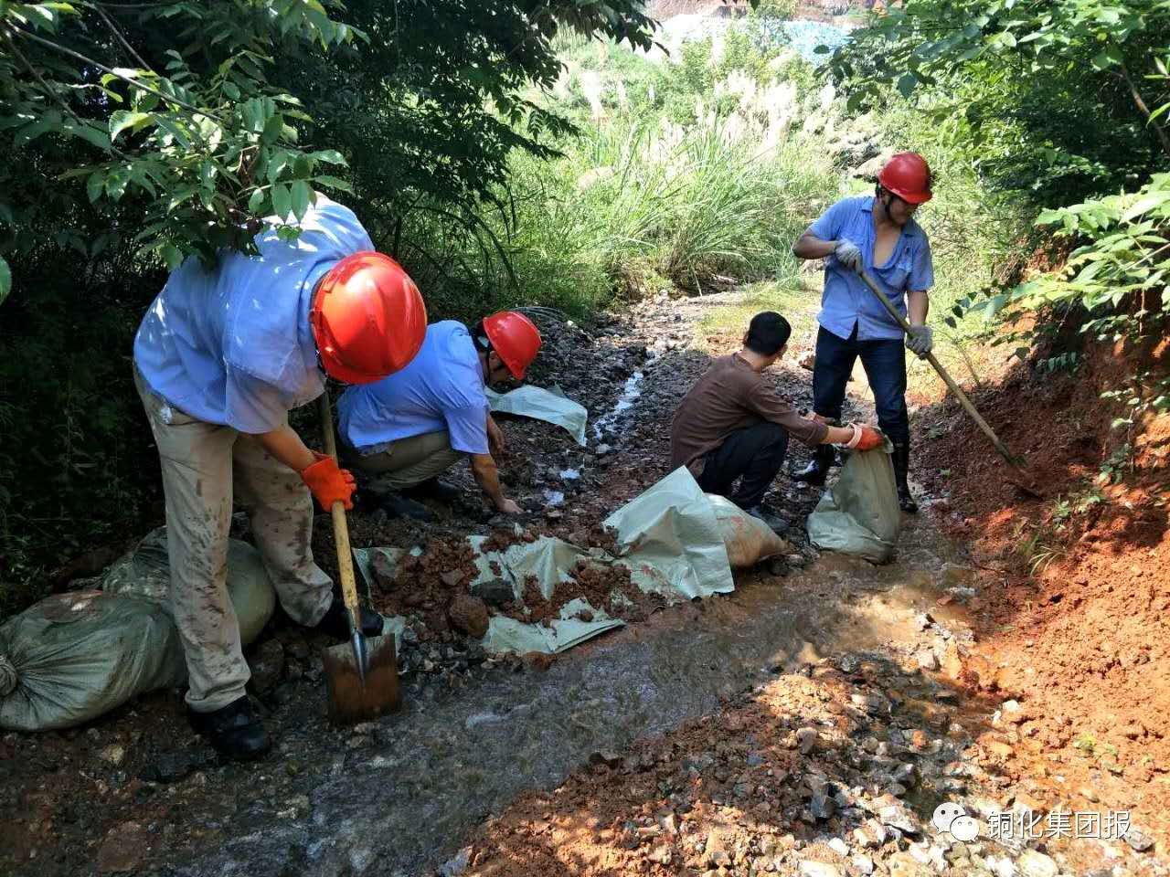 йӵϷ1331(ɷ)޹˾-ٷվ