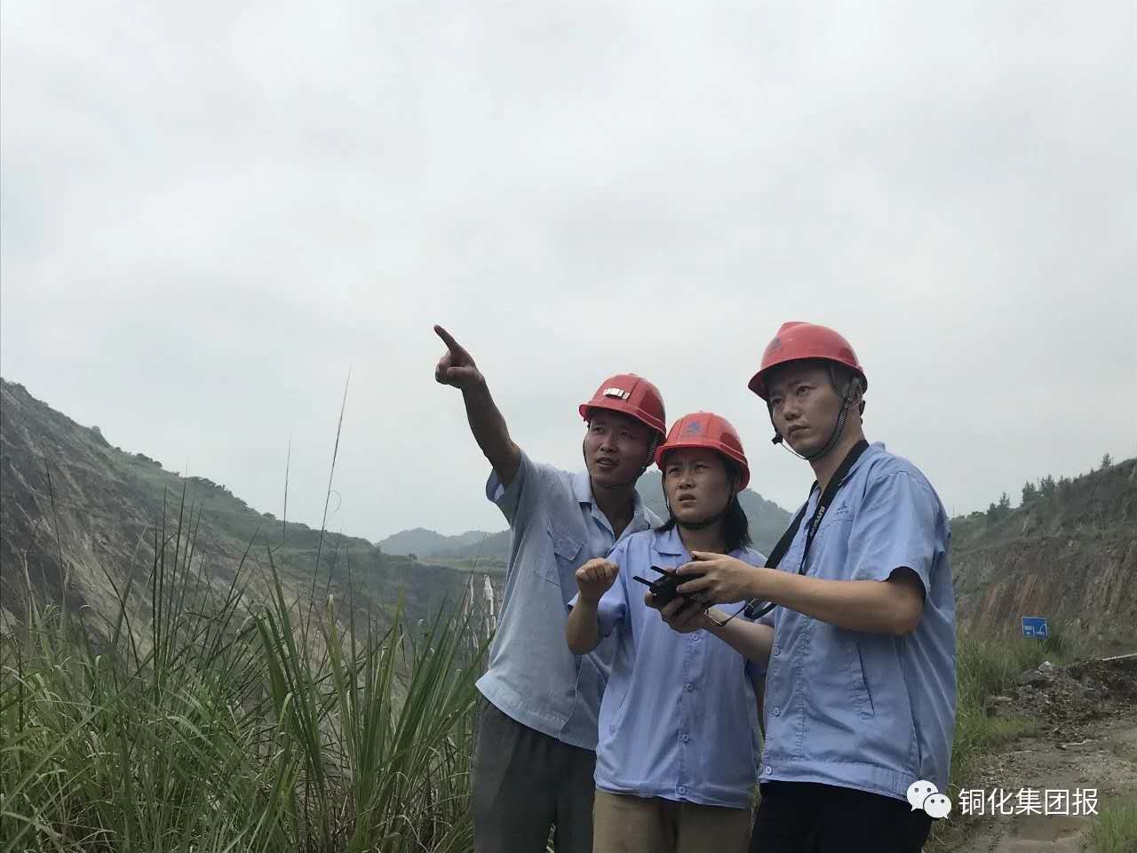 йӵϷ1331(ɷ)޹˾-ٷվ