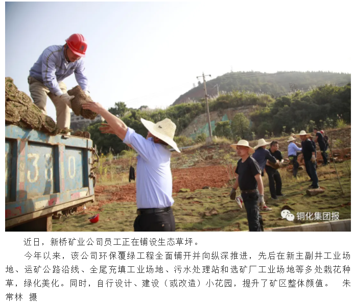 йӵϷ1331(ɷ)޹˾-ٷվ