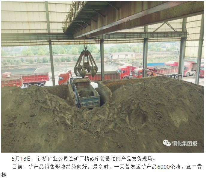 йӵϷ1331(ɷ)޹˾-ٷվ